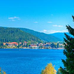 Titisee-Neustadt 158 hotels