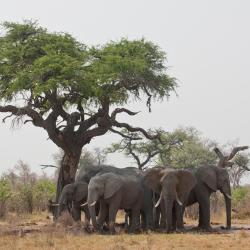 Okahandja 7 semesterboenden