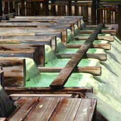 Kusatsu 4 hotéis com piscina