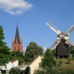 Werder 40 hotels
