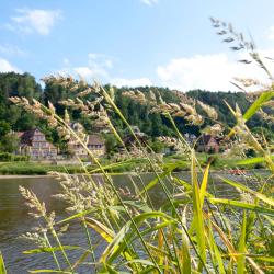 Stadt Wehlen 3 affittacamere