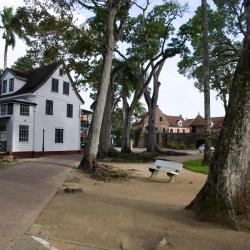 Paramaribo 43 cottage