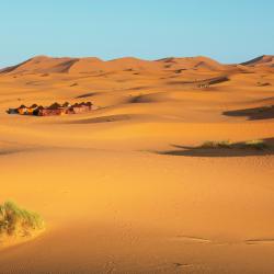 Merzouga 532 glampingplasser