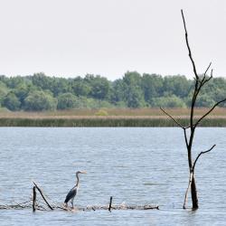 Tiszafüred Smještaji uz plažu (9)
