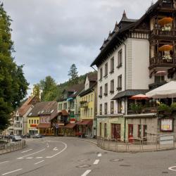 Triberg 96 hotels