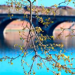 Blagnac 85 hotels