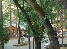 Yosemite Bug Rustic Mountain Resort, chalet i Midpines