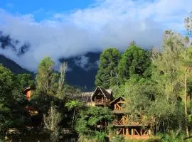 Finca Chamanapamba Guest House