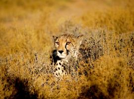 Inverdoorn Game Reserve Lodge, glamping site sa Breede River DC