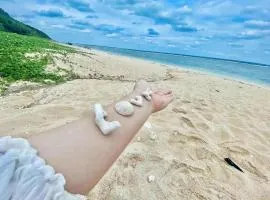 The Ritz Okinawa Kise 2 Villa near the beach with free parking