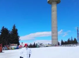 Апартамент за гости 4а26 Grand Monastery Пампорово