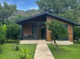 Çıralı Villa's