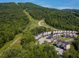Chalets Grande-Pointe au Massif de Charlevoix -Vélos - Rando -ski-in ski-out, בקתה בפטיט-ריבייר-סן-פרנסואה