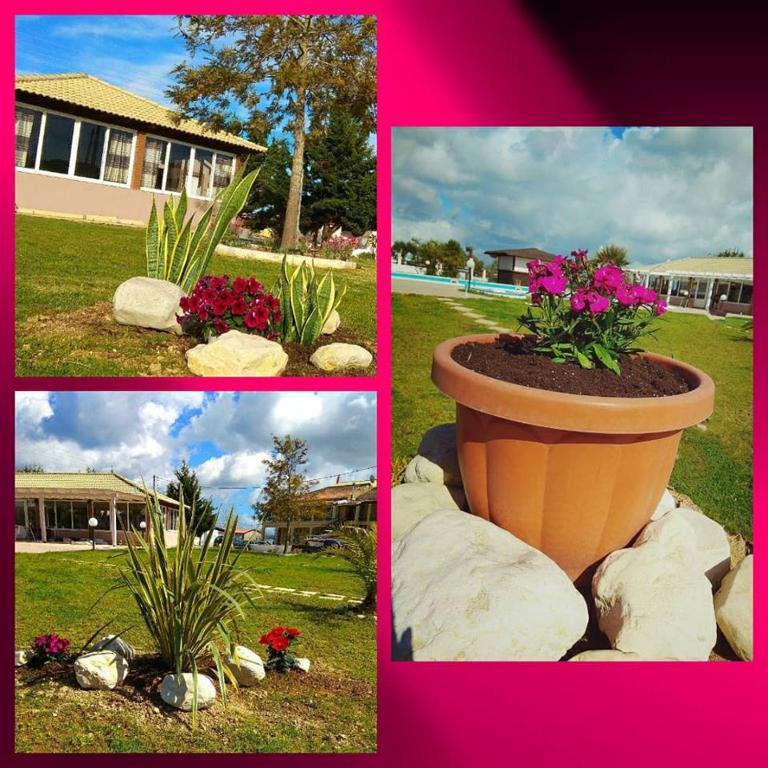 En have udenfor Egrypos Hotel