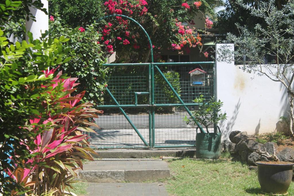 a green gate with a bird house in a garden at Auberge Miko in Grand Baie