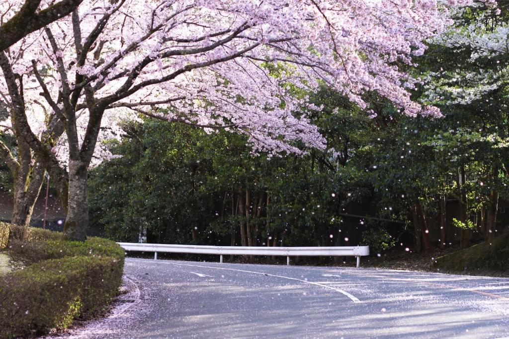 a bench sitting on the side of a road with trees at Hotel Laforet Shuzenji in Izu