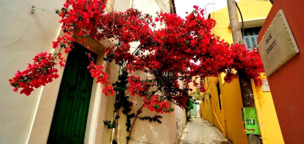 Foto da galeria de Villa Orestis em Archanes