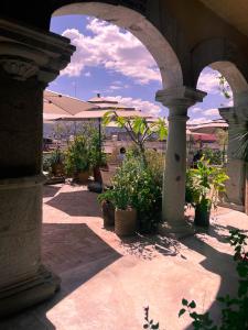 an archway with potted plants on a patio at Casa Antonieta in Oaxaca City