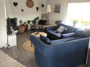 a living room with two blue couches and a tv at Holiday home BORÅS II in Borås