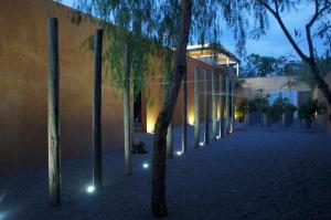 a row of trees in front of a building with lights at Hotel Cosijo - San Jeronimo Tlacochahuaya in Oaxaca City