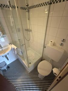 W łazience znajduje się prysznic, toaleta i umywalka. w obiekcie Hotel Bischoff w Baden-Baden