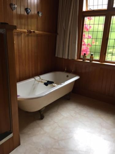 Hewling's Manor tesisinde bir banyo