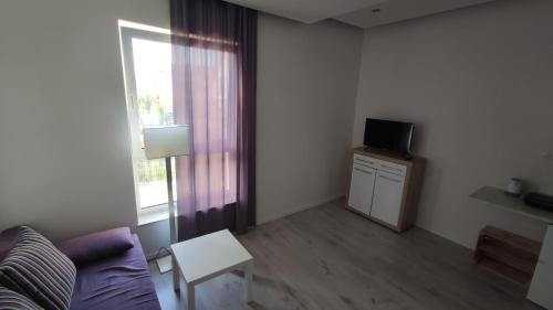 a living room with a couch and a tv at Micadas Apartamenty in Piaseczno