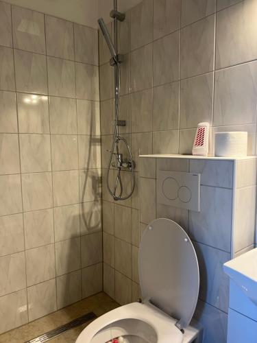 łazienka z toaletą i prysznicem w obiekcie Hotel Hirsch w mieście Fluorn