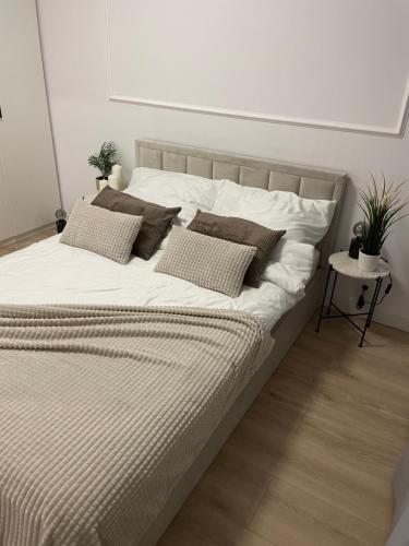 Lova arba lovos apgyvendinimo įstaigoje AirPort Apartment