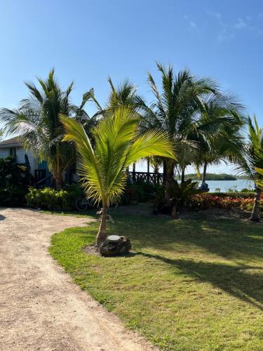 Hidden Paradise - Cottage