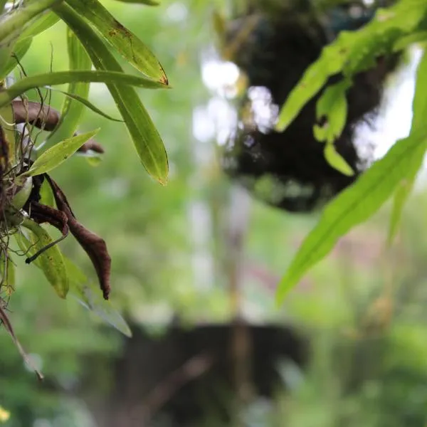 Natures Bliss Garden Stay, hotel a Ja-Ela