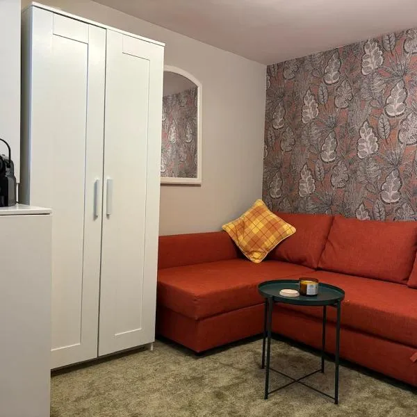 Charming tiny house, hotel in Den Haag