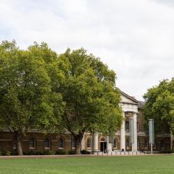 Saatchi Gallery