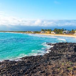 Isabela Island 28 dovolenkových prenájmov na pláži