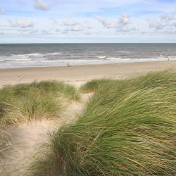 Dutch Coast 23 маленьких будиночків