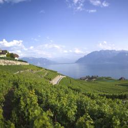 Lacul Geneva 82 proprietăți de vacanță aproape de plajă